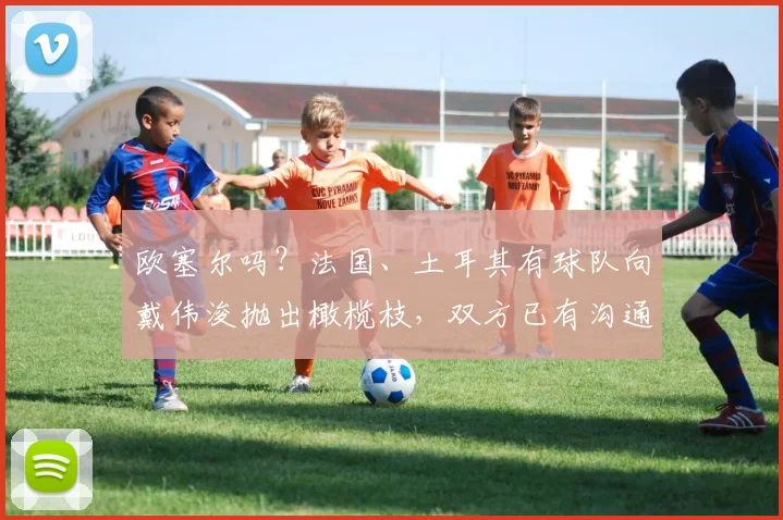 欧塞尔吗？法国、土耳其有球队向戴伟浚抛出橄榄枝，双方已有沟通