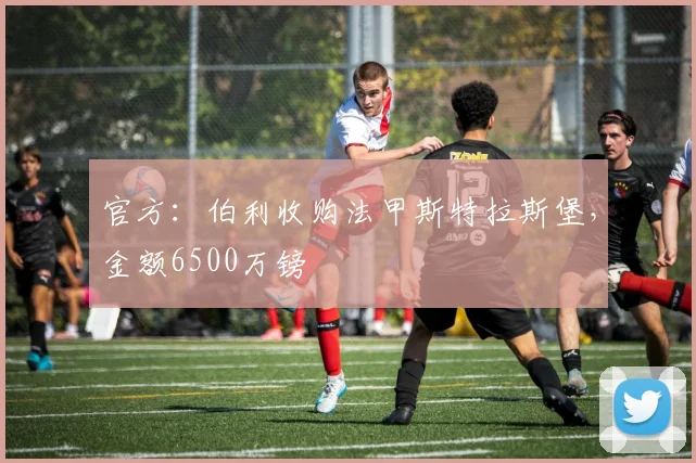 官方：伯利收购法甲斯特拉斯堡，金额6500万镑